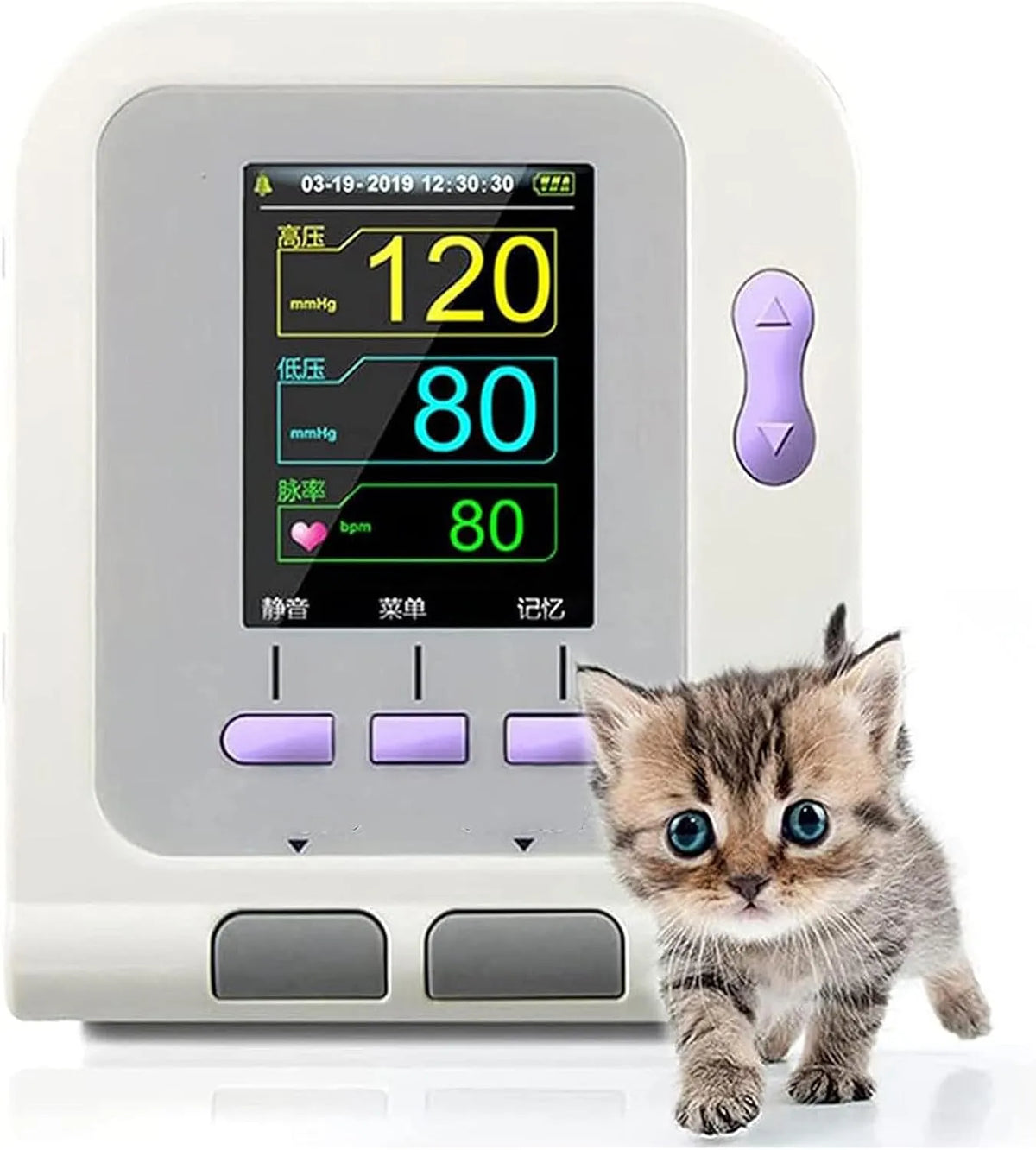 chats et animaux de compagnie, pour équipement de soins des animaux de bureau pour chiens, Tensiomètre numérique vétérinaire avec 3 poignets, usage